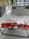 &#24320;&#20113;&#25163;&#26426;&#31449;&#30331;&#24405;&#20837;&#21475;&#45;&#24320;&#20113;&#111;&#110;&#108;&#105;&#110;&#101;&#40;&#20013;&#22269;&#41;